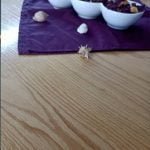 Table Salle à Manger Ichbilia – Image 4